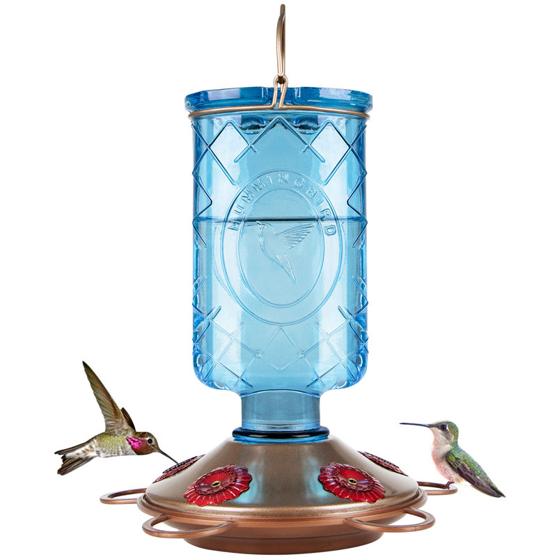 Arlmont And Co Quanetra Glass Hanging Hummingbird Feeder Wayfair 5317